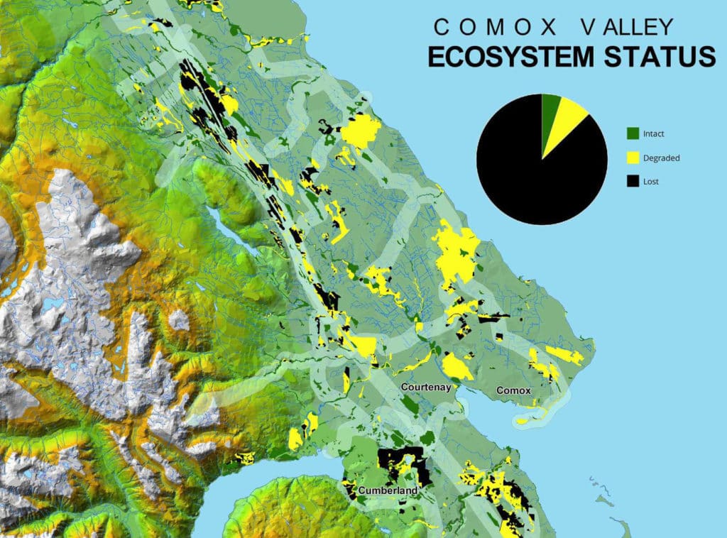 Graphic of the Comox Valley Ecosystem Status - indicating intact, degraded and lost ecosystem areas in the region